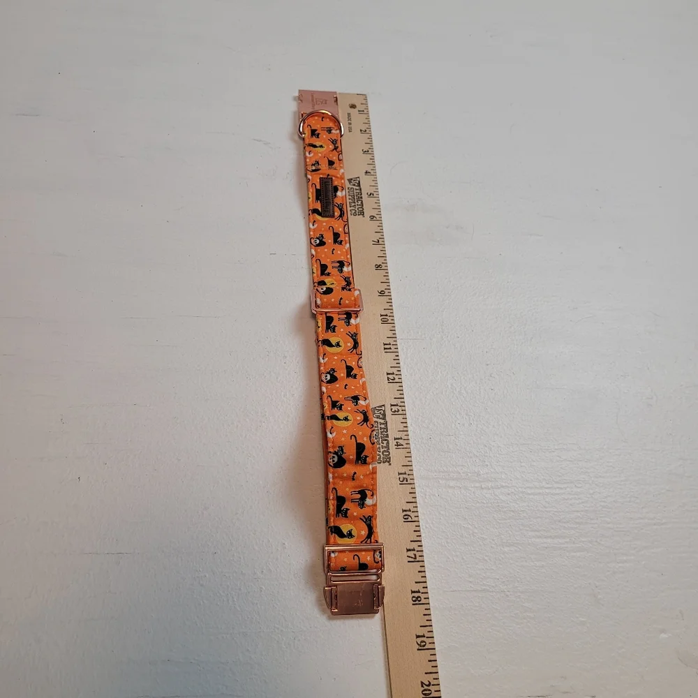 Lionheart Glory Orange Cat Print Dog Collar with Rose Gold Hardware